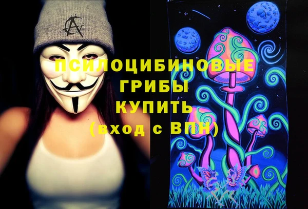 стаф Беломорск