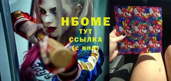 стаф Беломорск