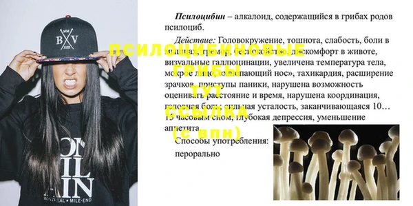 стаф Беломорск