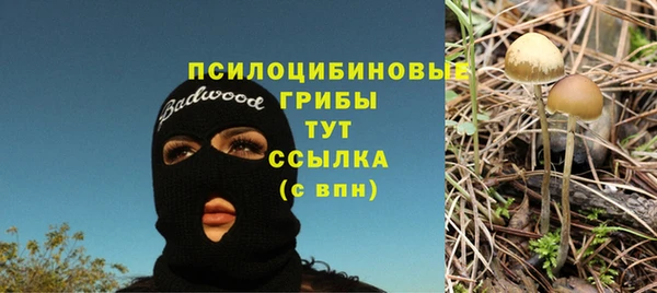стаф Беломорск